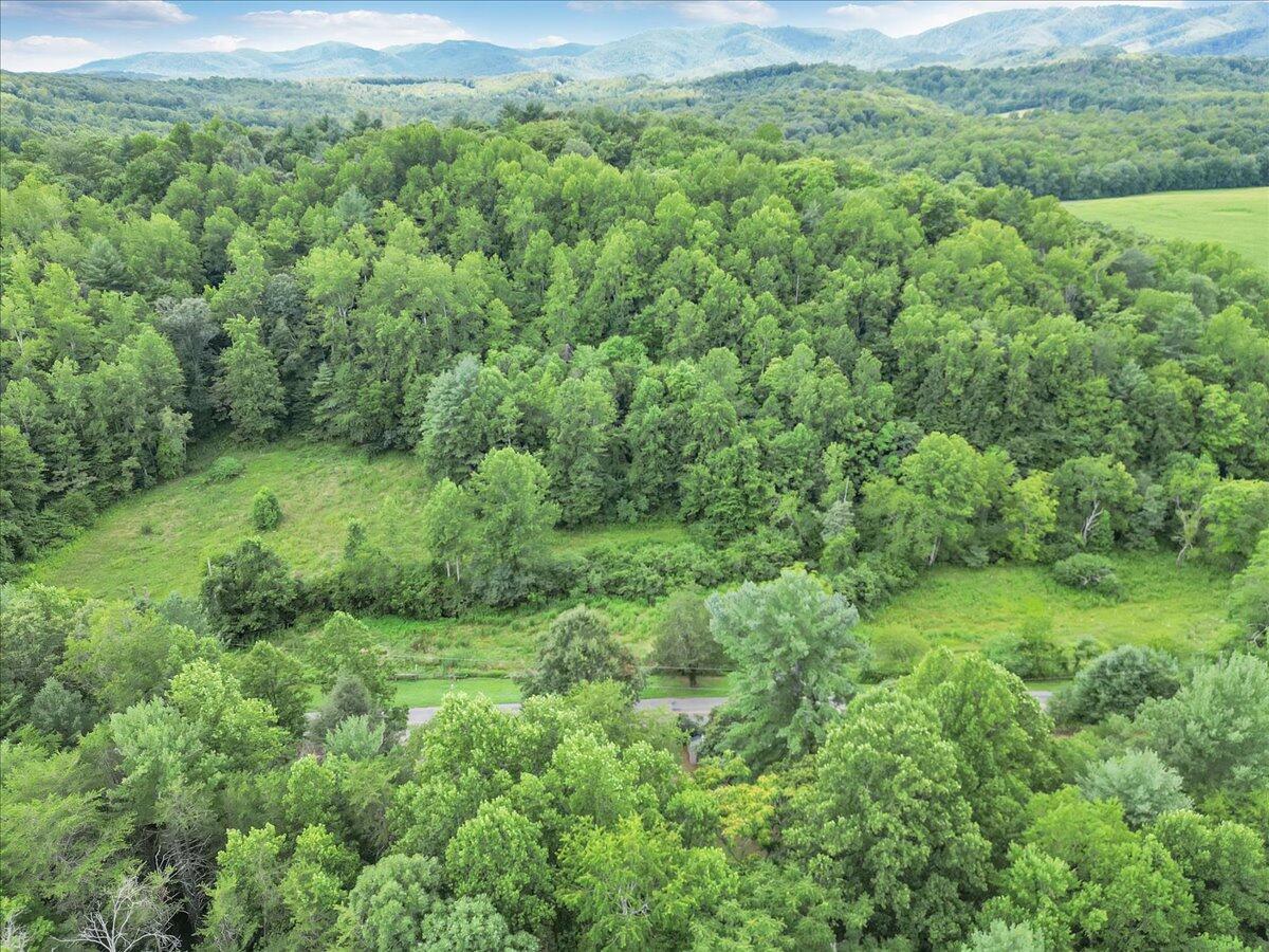 3 Ferrum Mountain Road Callaway, VA 24067 - Photo 12 of 13 a view of a lush green forest