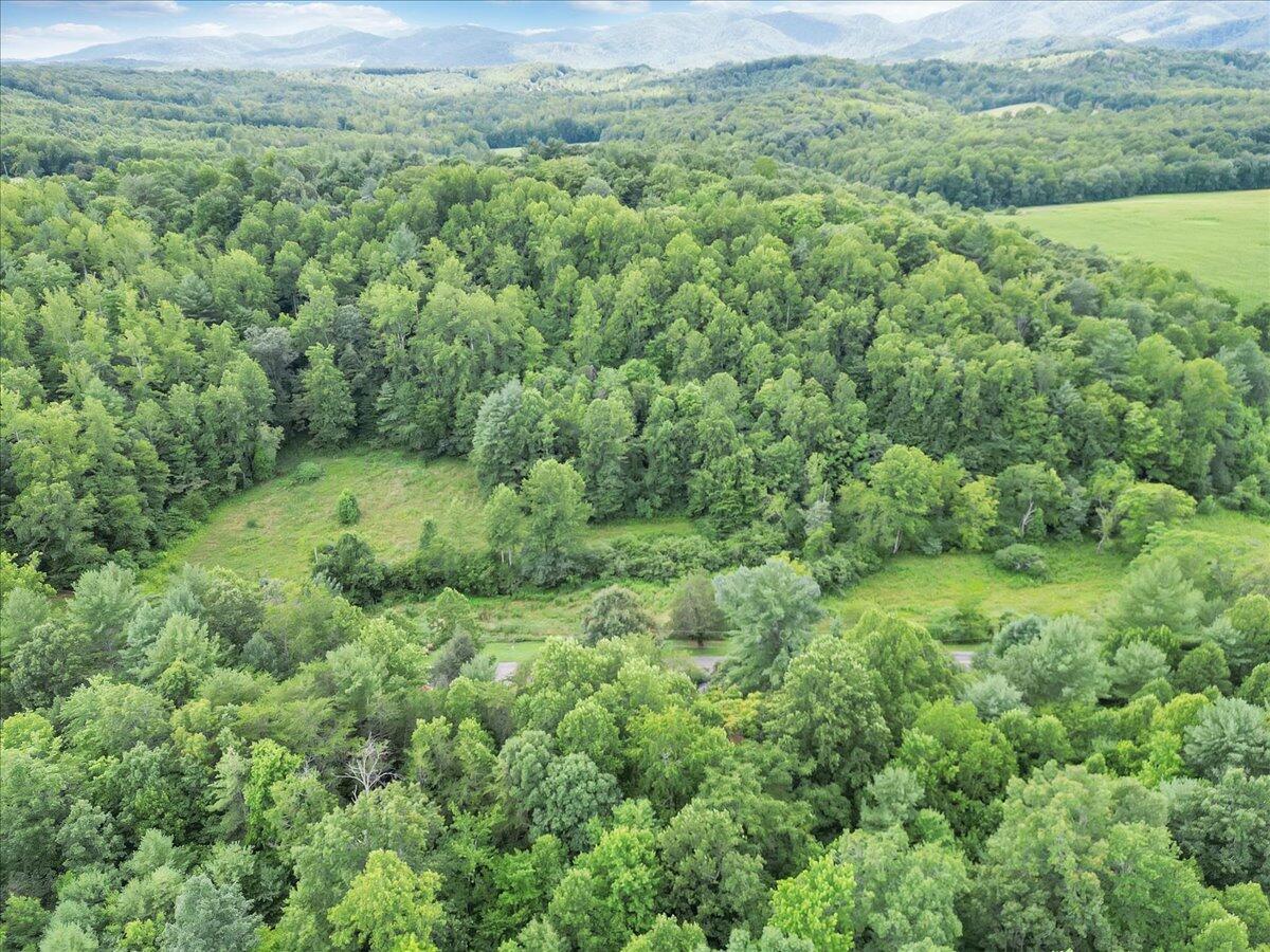 3 Ferrum Mountain Road Callaway, VA 24067 - Photo 13 of 13 a view of a lush green forest with trees and houses