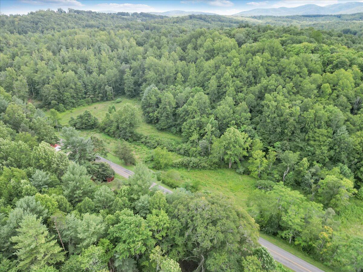 3 Ferrum Mountain Road Callaway, VA 24067 - Photo 2 of 13 a view of a lush green forest with trees and grass