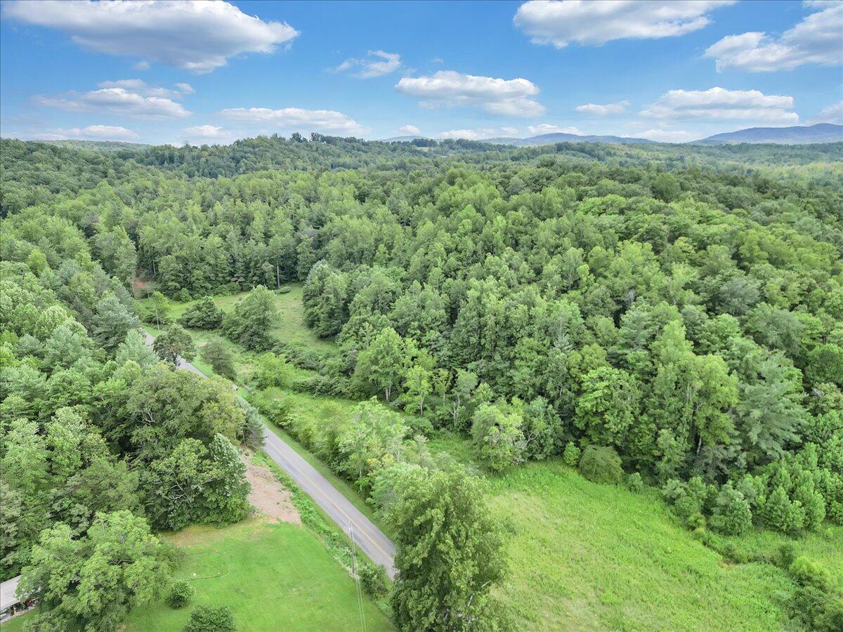 3 Ferrum Mountain Road Callaway, VA 24067 - Photo 3 of 13 a view of a lush green forest with a houses