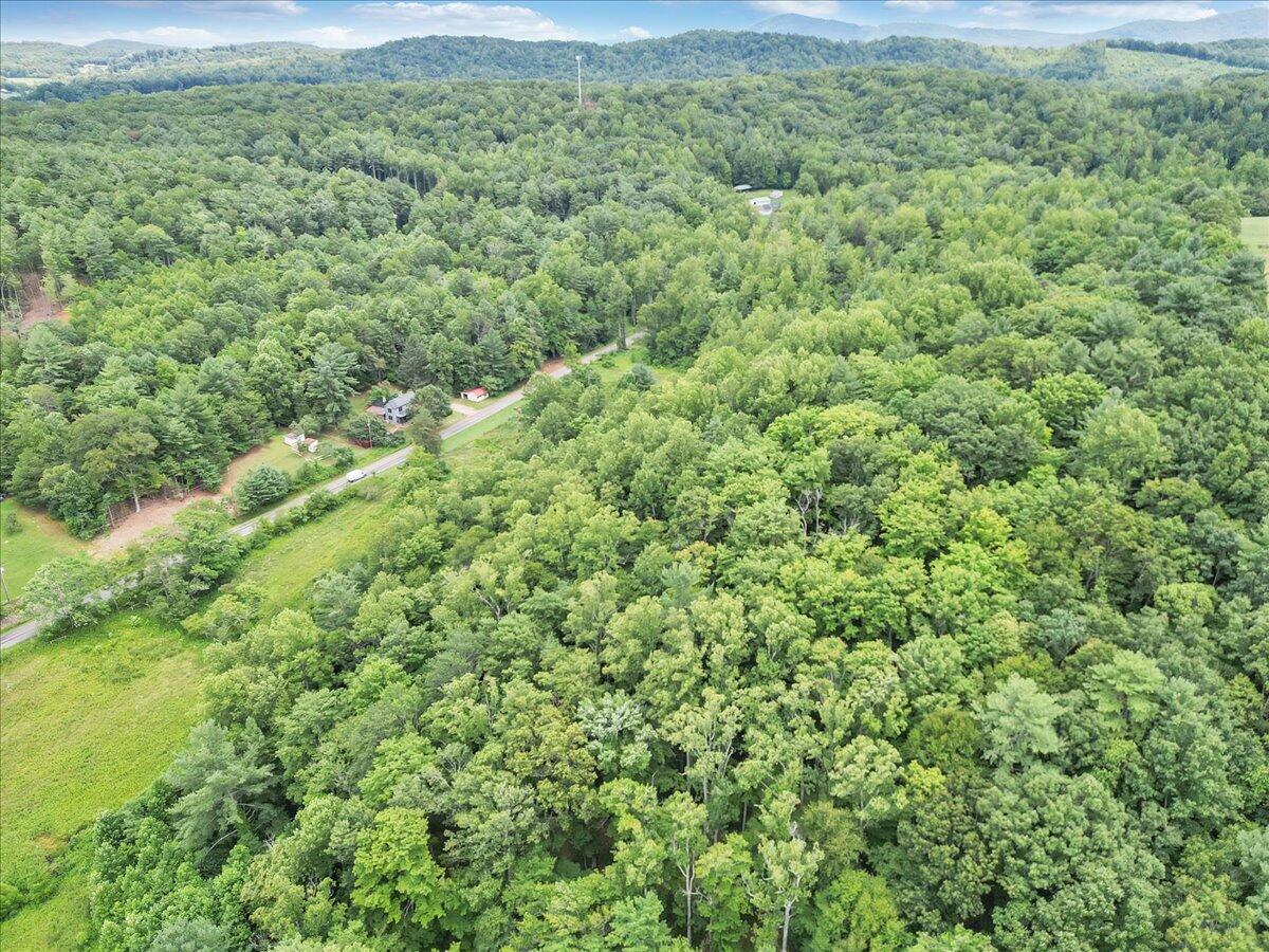 3 Ferrum Mountain Road Callaway, VA 24067 - Photo 4 of 13 a view of a lush green field