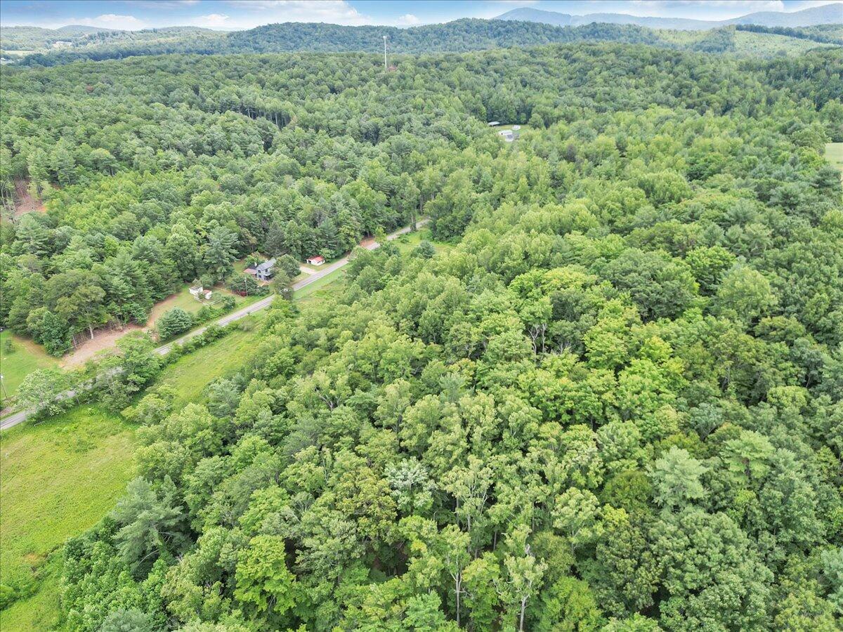 3 Ferrum Mountain Road Callaway, VA 24067 - Photo 5 of 13 a view of a lush green forest with lush green forest and houses