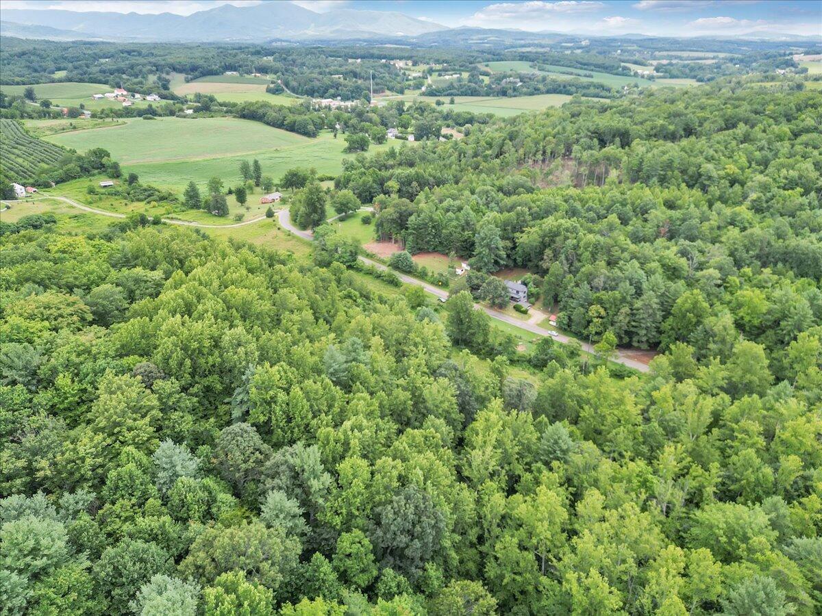 3 Ferrum Mountain Road Callaway, VA 24067 - Photo 6 of 13 a view of a lush green forest with lush green forest and mountain view