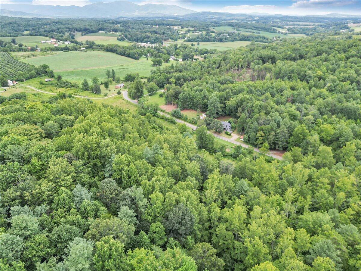 3 Ferrum Mountain Road Callaway, VA 24067 - Photo 7 of 13 a view of a lush green forest with lush green forest