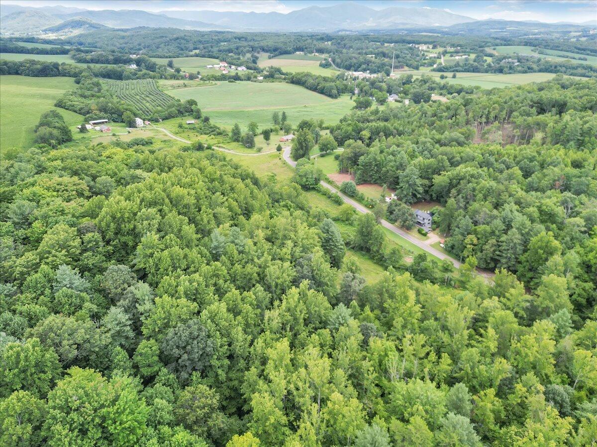 3 Ferrum Mountain Road Callaway, VA 24067 - Photo 8 of 13 a view of a lush green forest with trees and houses