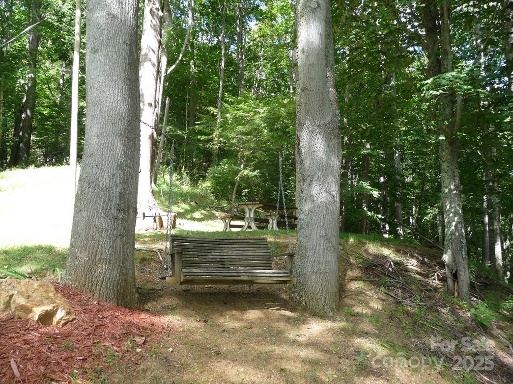 0 Joe Shoemaker Road Vilas, NC 28692 - Photo 16 of 21
