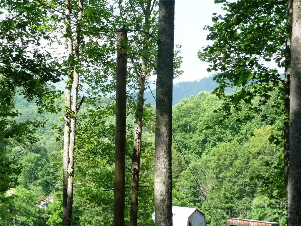 0 Joe Shoemaker Road Vilas, NC 28692 - Photo 18 of 21