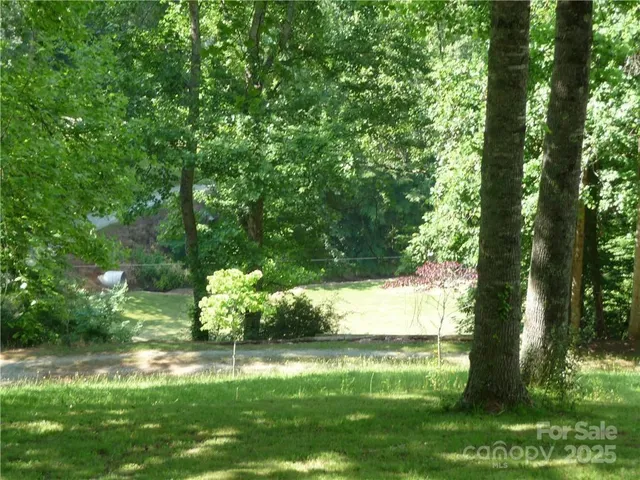 a garden with trees in the background