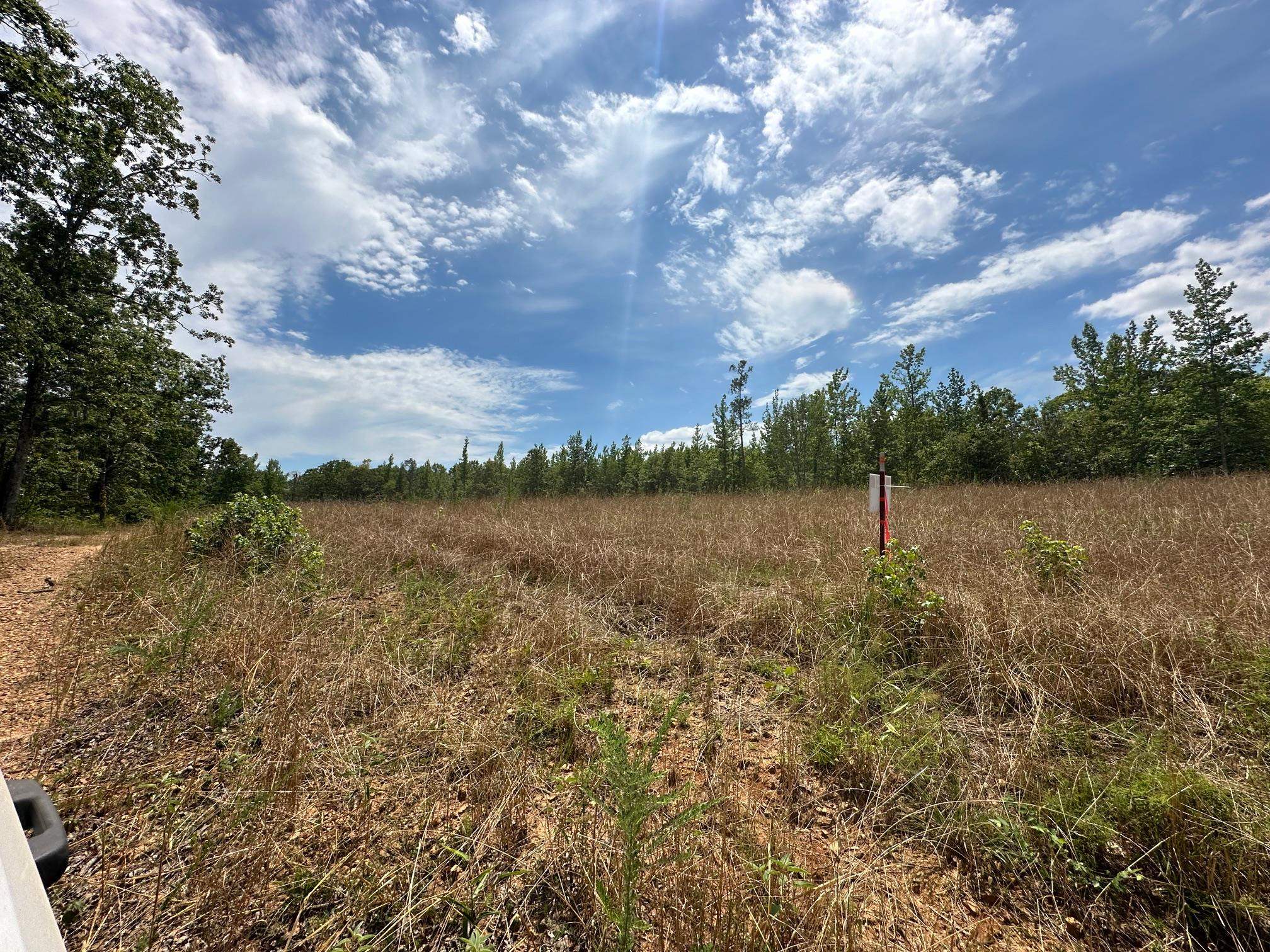 11 Bruton Road Savannah, TN 38372 - Photo 15 of 16 View of landscape featuring a rural view