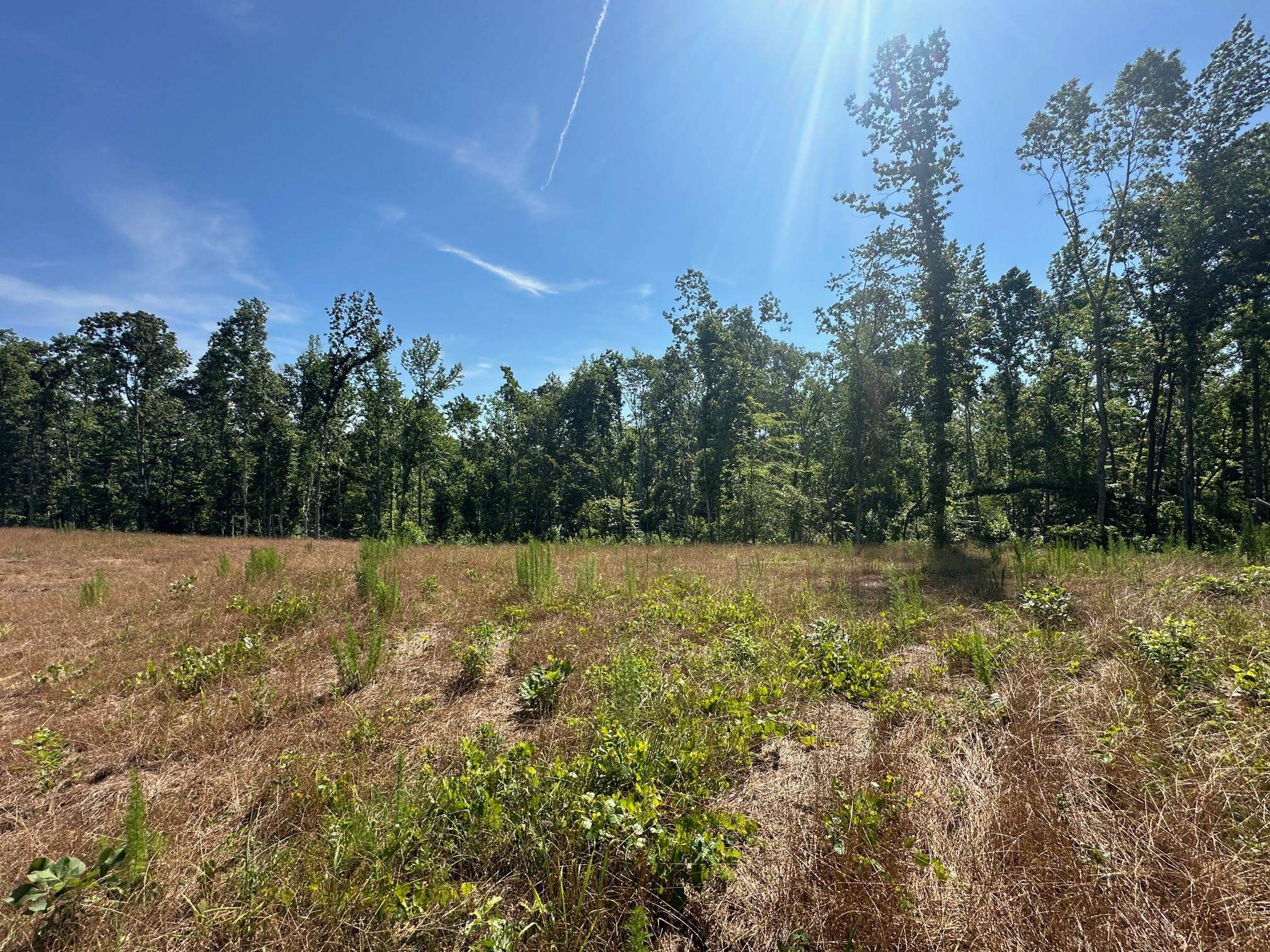 View of local wilderness featuring a rural view