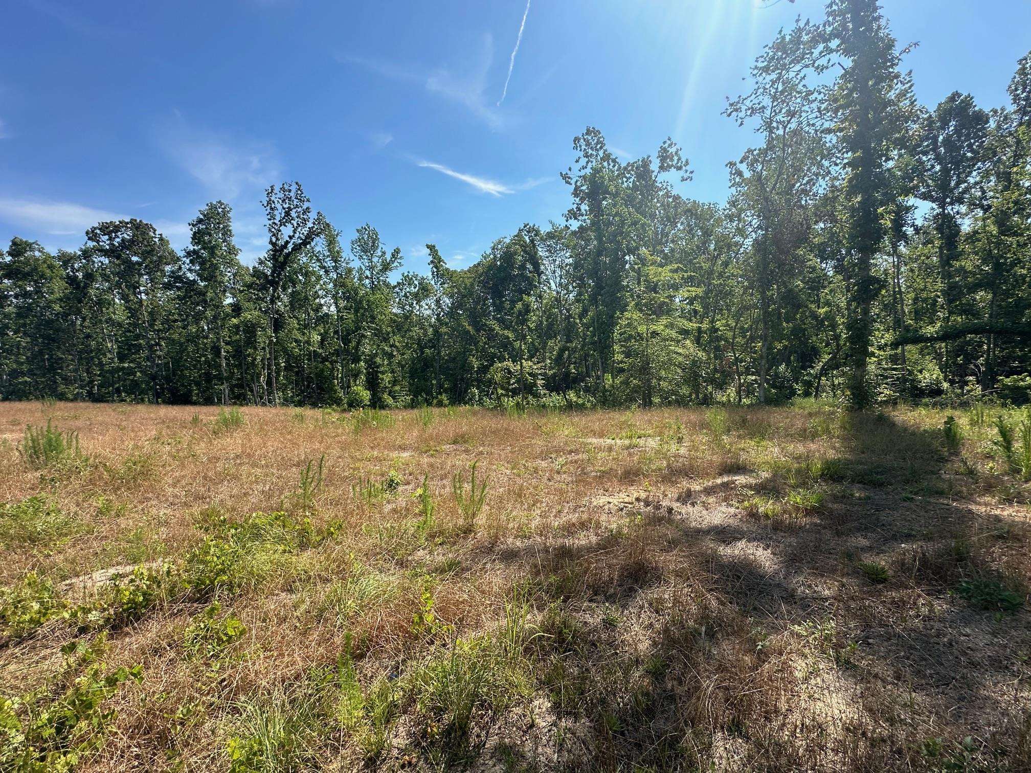 11 Bruton Road Savannah, TN 38372 - Photo 8 of 16 View of nature