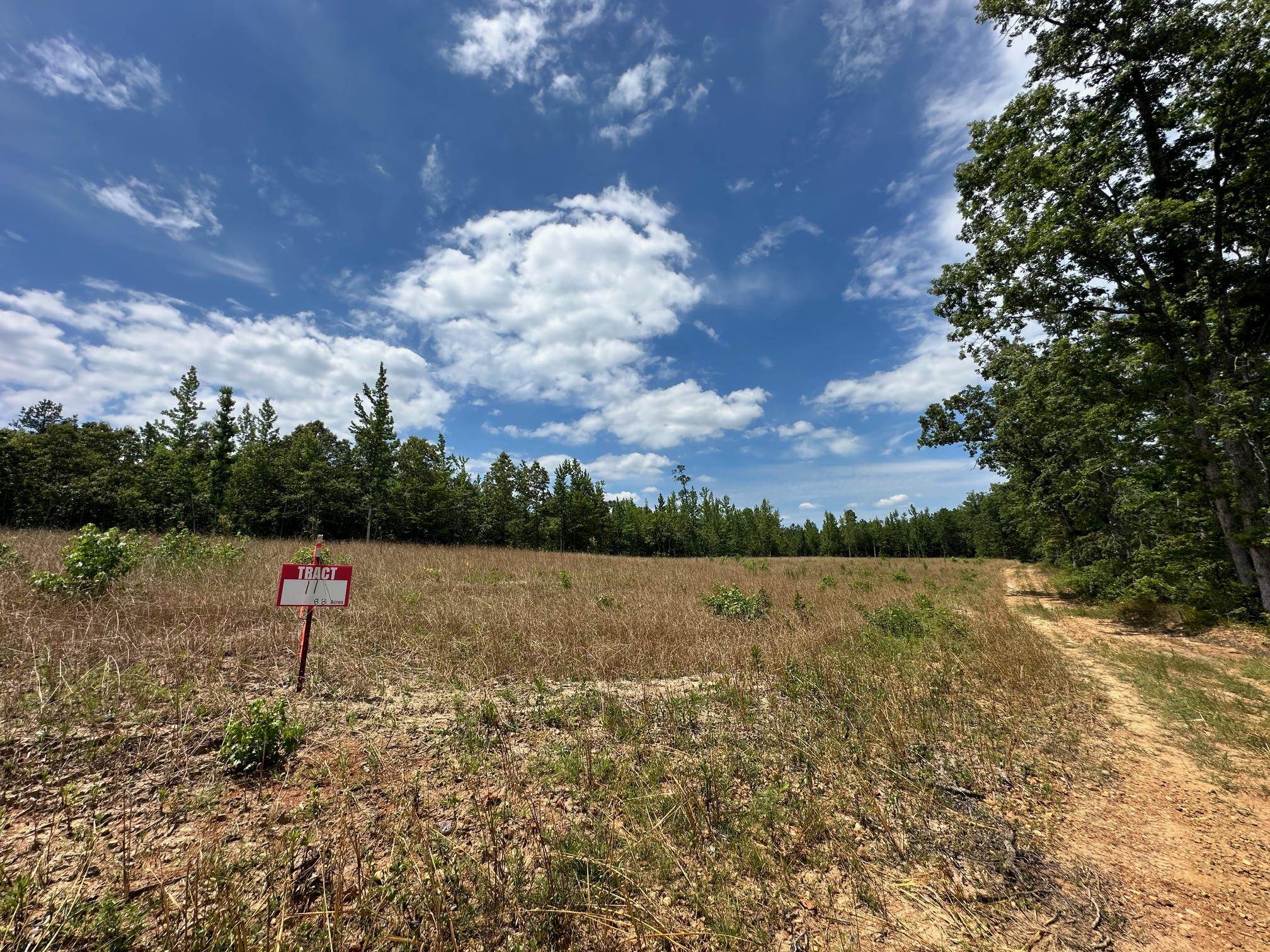 11 Bruton Road Savannah, TN 38372 - Photo 10 of 16 View of local wilderness