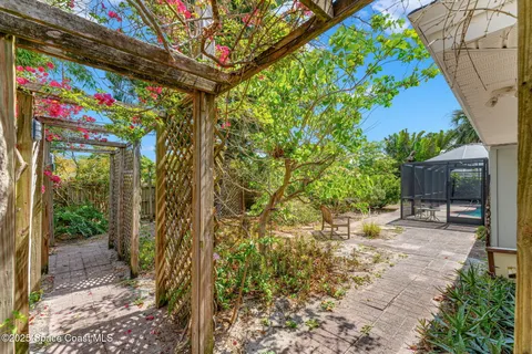 a view of a yard with plants