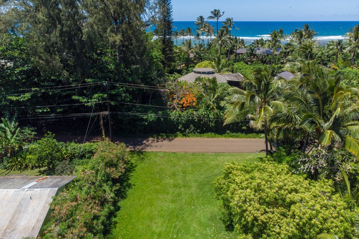 55 Alealea Road Hanalei, HI 96714 - Photo 11 of 14 a view of a garden with a building in the background
