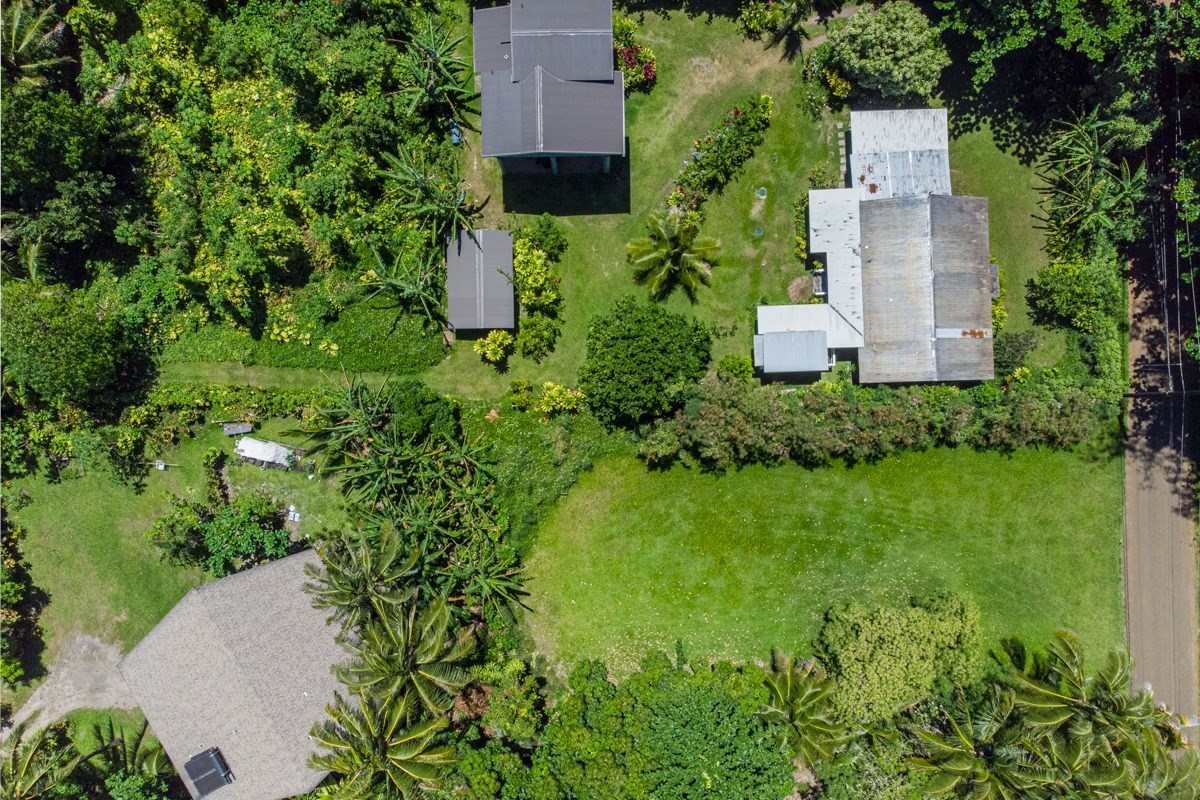 55 Alealea Road Hanalei, HI 96714 - Photo 12 of 14 an aerial view of a house with a garden