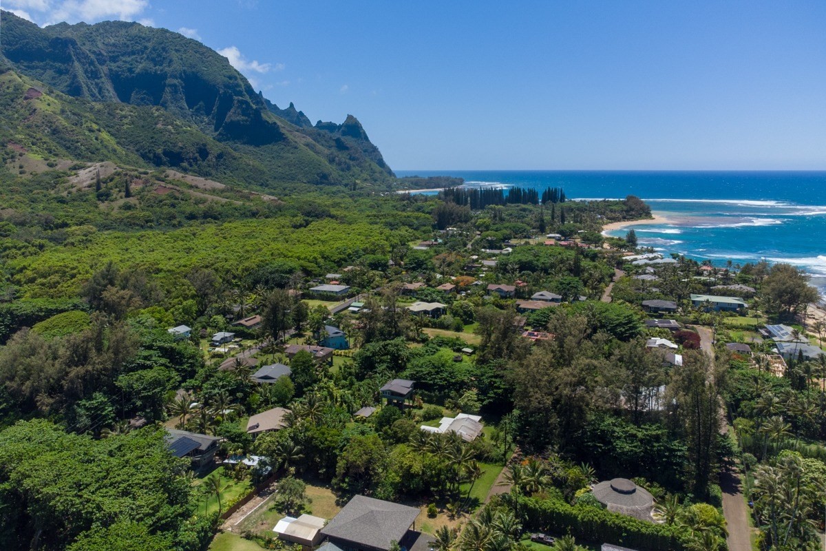 55 Alealea Road Hanalei, HI 96714 - Photo 14 of 14 a view of a houses with a yard