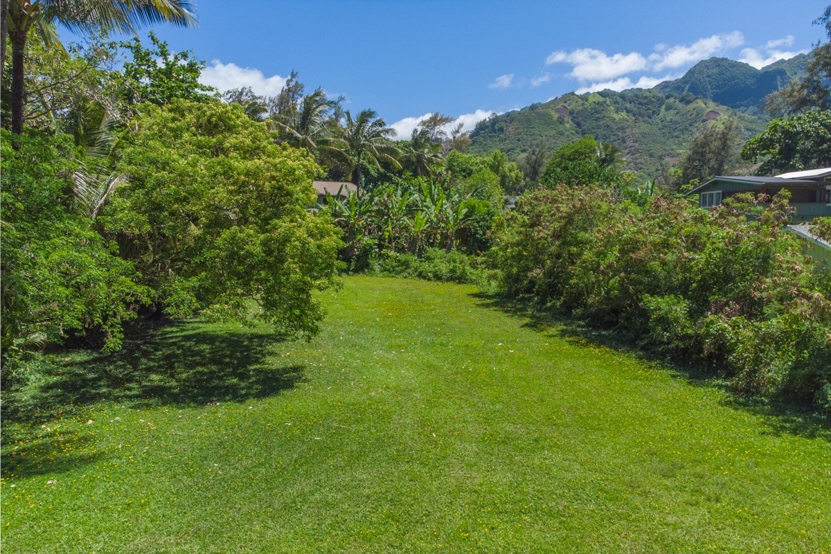 55 Alealea Road Hanalei, HI 96714 - Photo 3 of 14 a view of a green yard