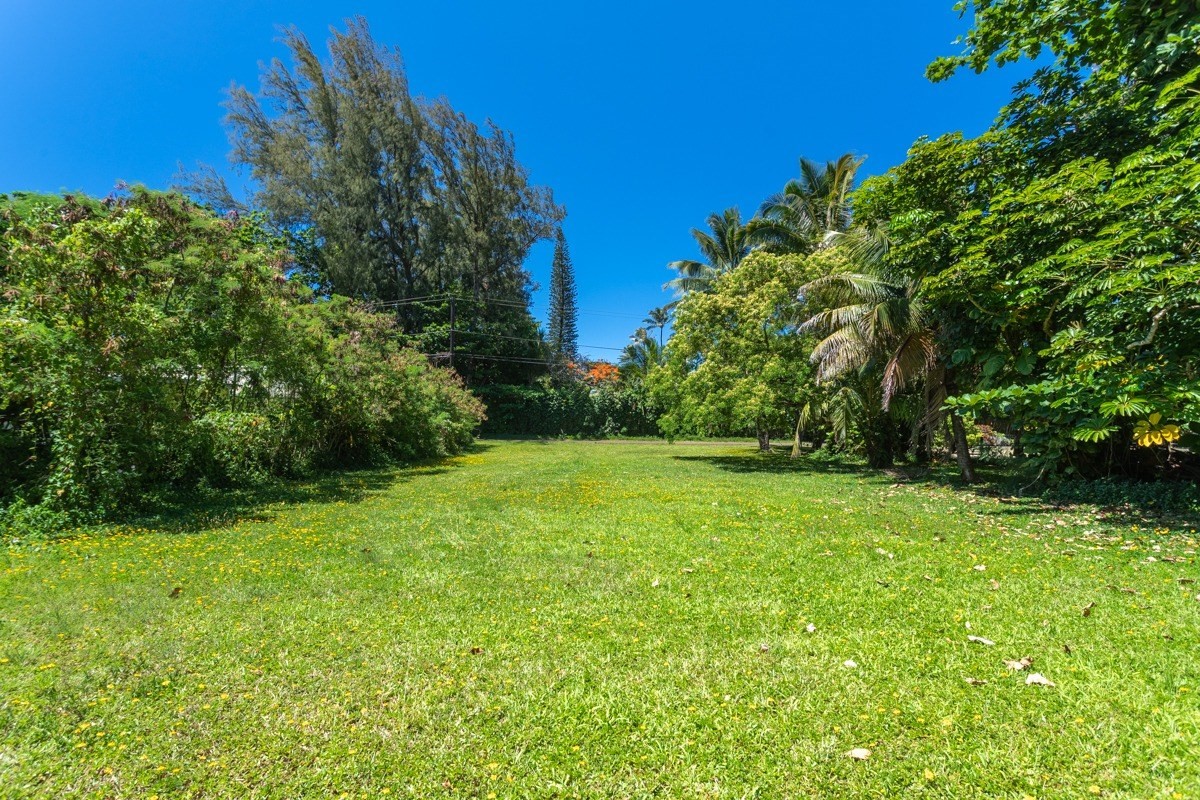 55 Alealea Road Hanalei, HI 96714 - Photo 4 of 14 a view of a grassy field with trees
