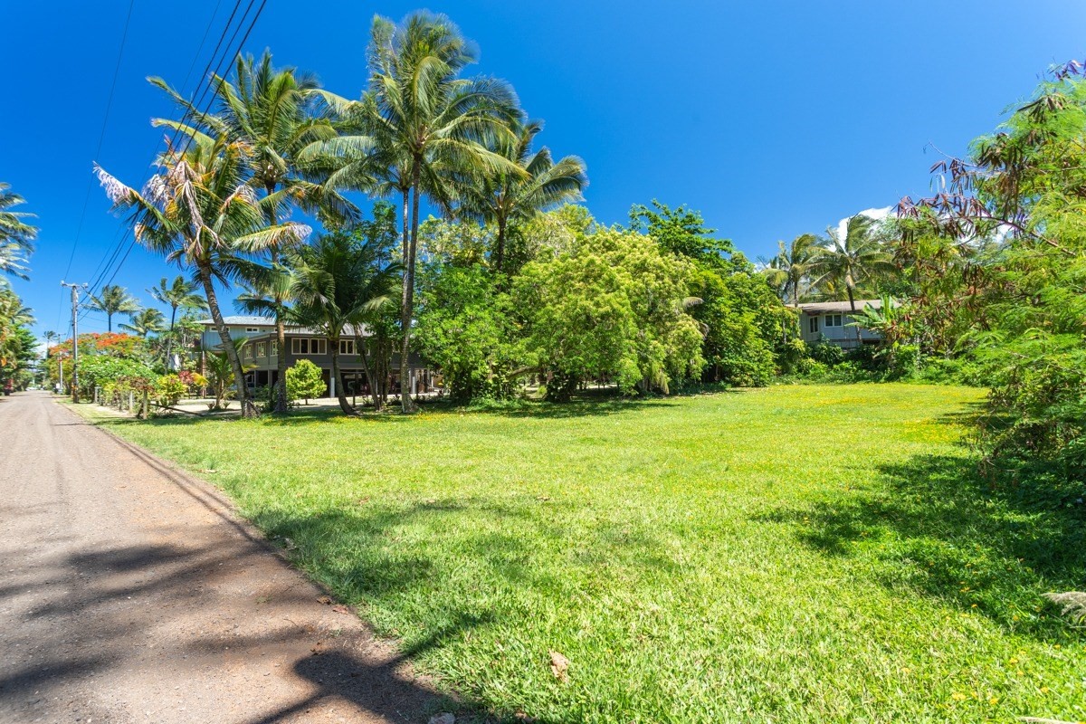 55 Alealea Road Hanalei, HI 96714 - Photo 5 of 14 a view of a yard with a palm tree