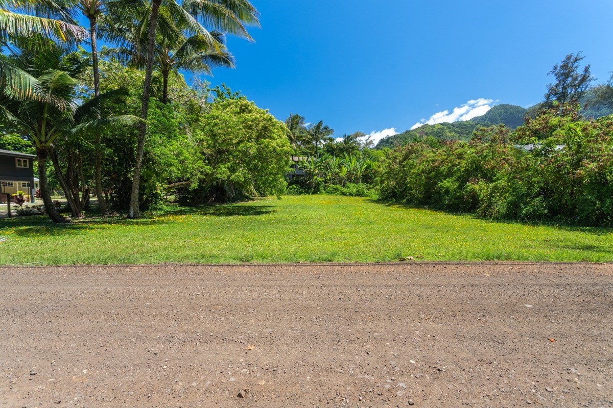 55 Alealea Road Hanalei, HI 96714 - Photo 6 of 14 a view of a big yard with plants and large trees