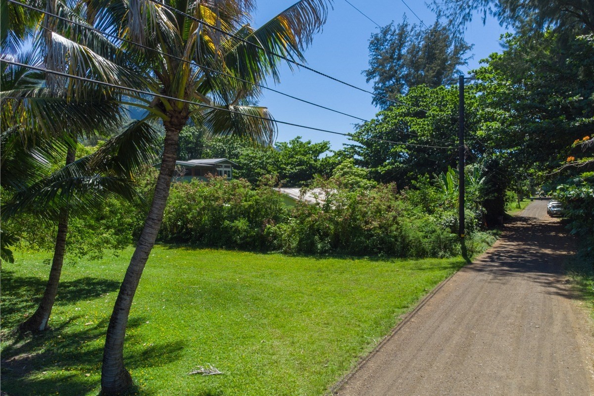 55 Alealea Road Hanalei, HI 96714 - Photo 7 of 14 a view of a garden
