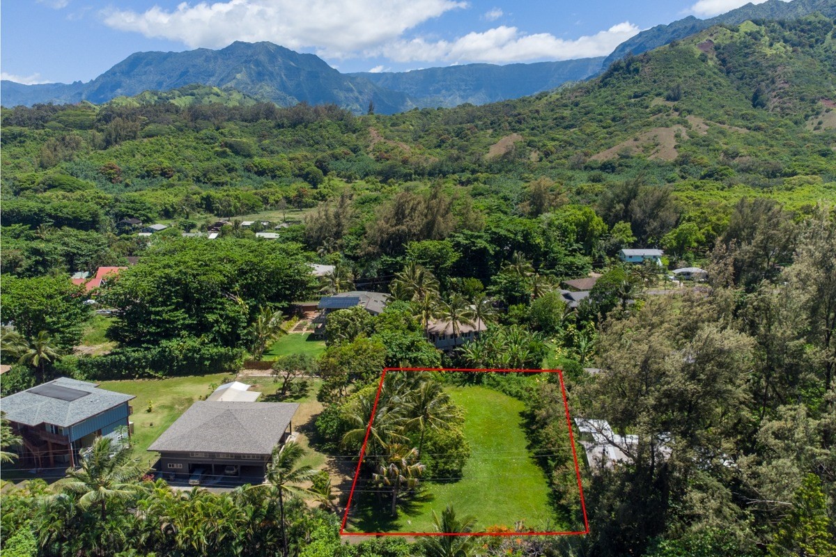 55 Alealea Road Hanalei, HI 96714 - Photo 8 of 14 an aerial view of residential houses and outdoor space