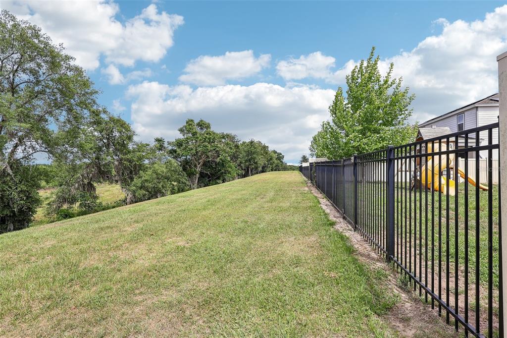 2575 Auburn Ridge Drive Apopka, FL 32712 - Photo 36 of 48 a view of a backyard