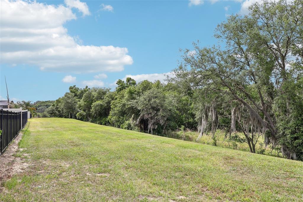 2575 Auburn Ridge Drive Apopka, FL 32712 - Photo 37 of 48 a view of a yard with a tree