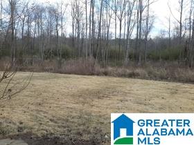 70 County Road 797 Clanton, AL 35045 - Photo 3 of 20