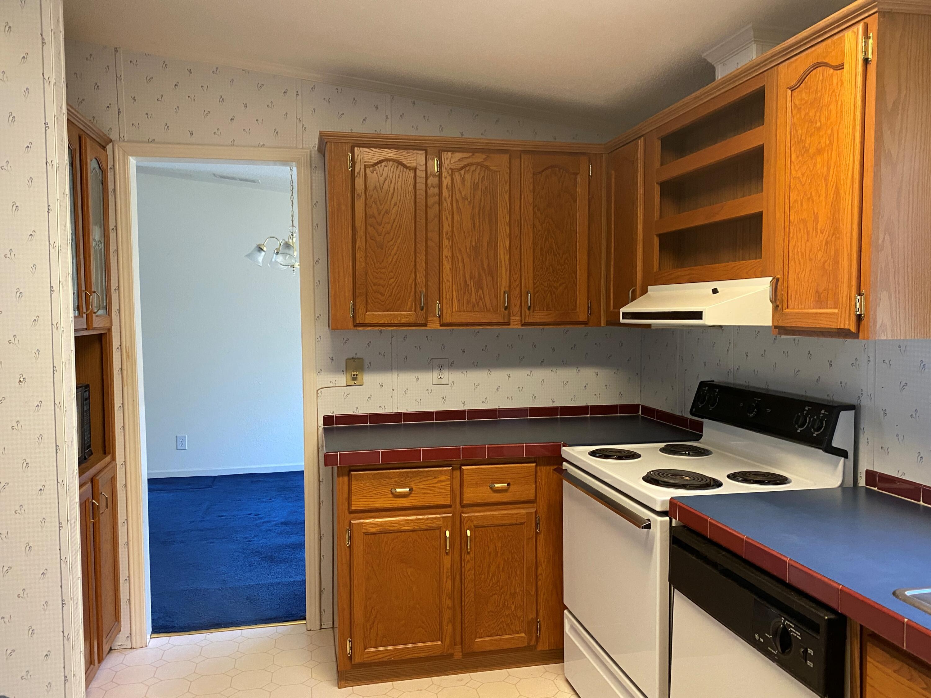 343 Fire Hill Road Walterboro, SC 29488 - Photo 14 of 42 Kitchen view2