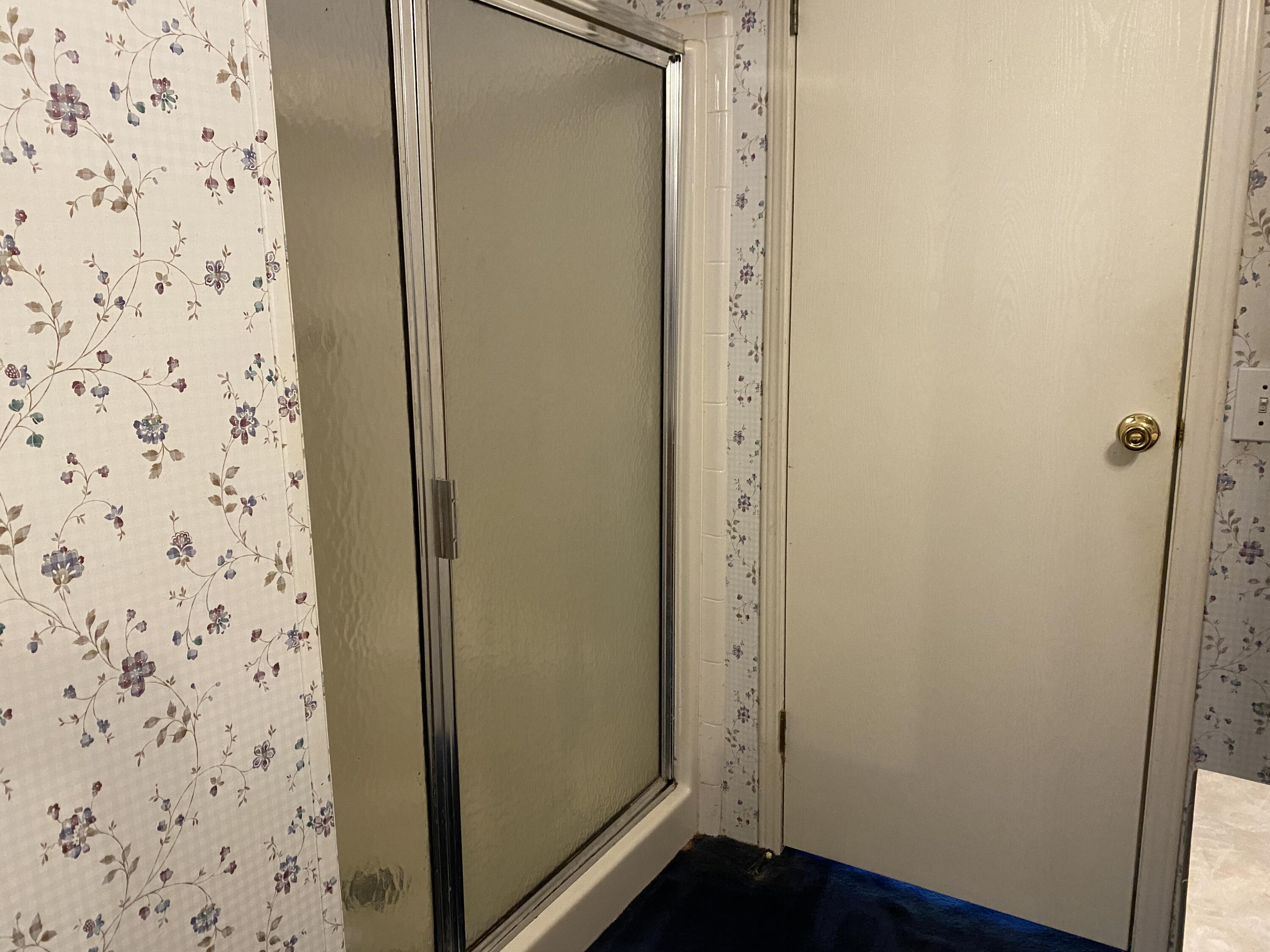 343 Fire Hill Road Walterboro, SC 29488 - Photo 18 of 42 Master Bathroom, view 2, shower