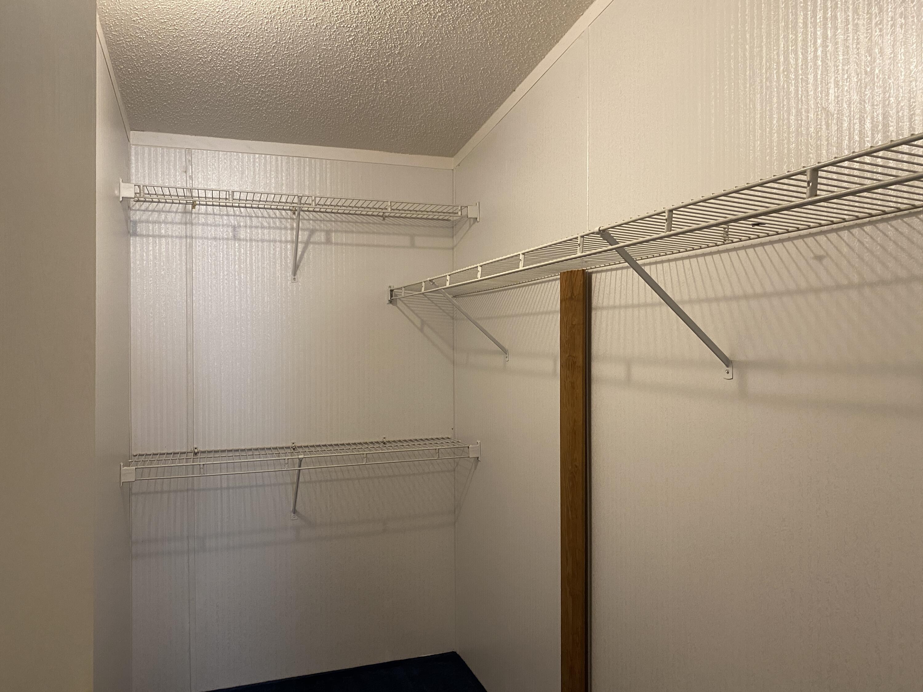 343 Fire Hill Road Walterboro, SC 29488 - Photo 21 of 42 Master Walk in Closet