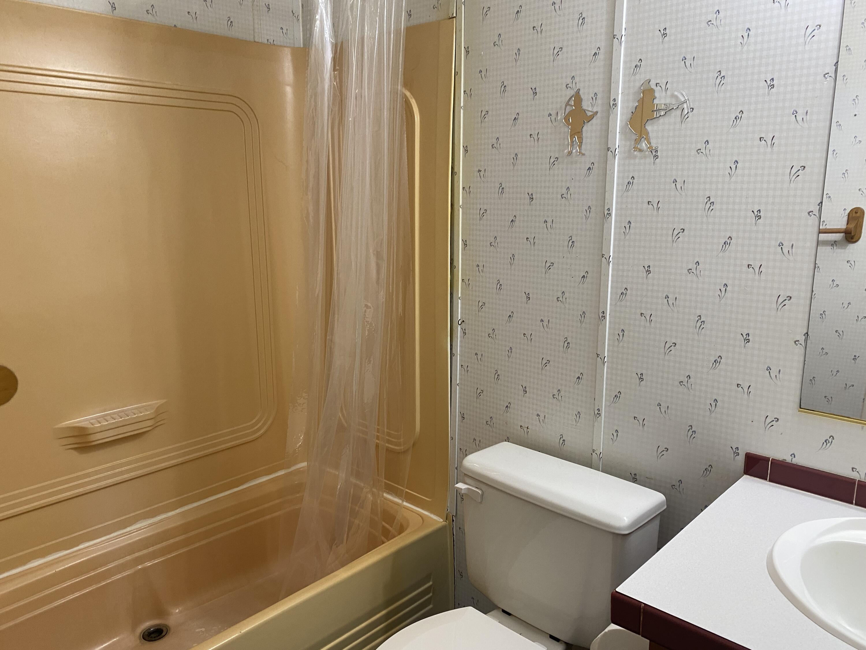 343 Fire Hill Road Walterboro, SC 29488 - Photo 23 of 42 Hall Bathroom