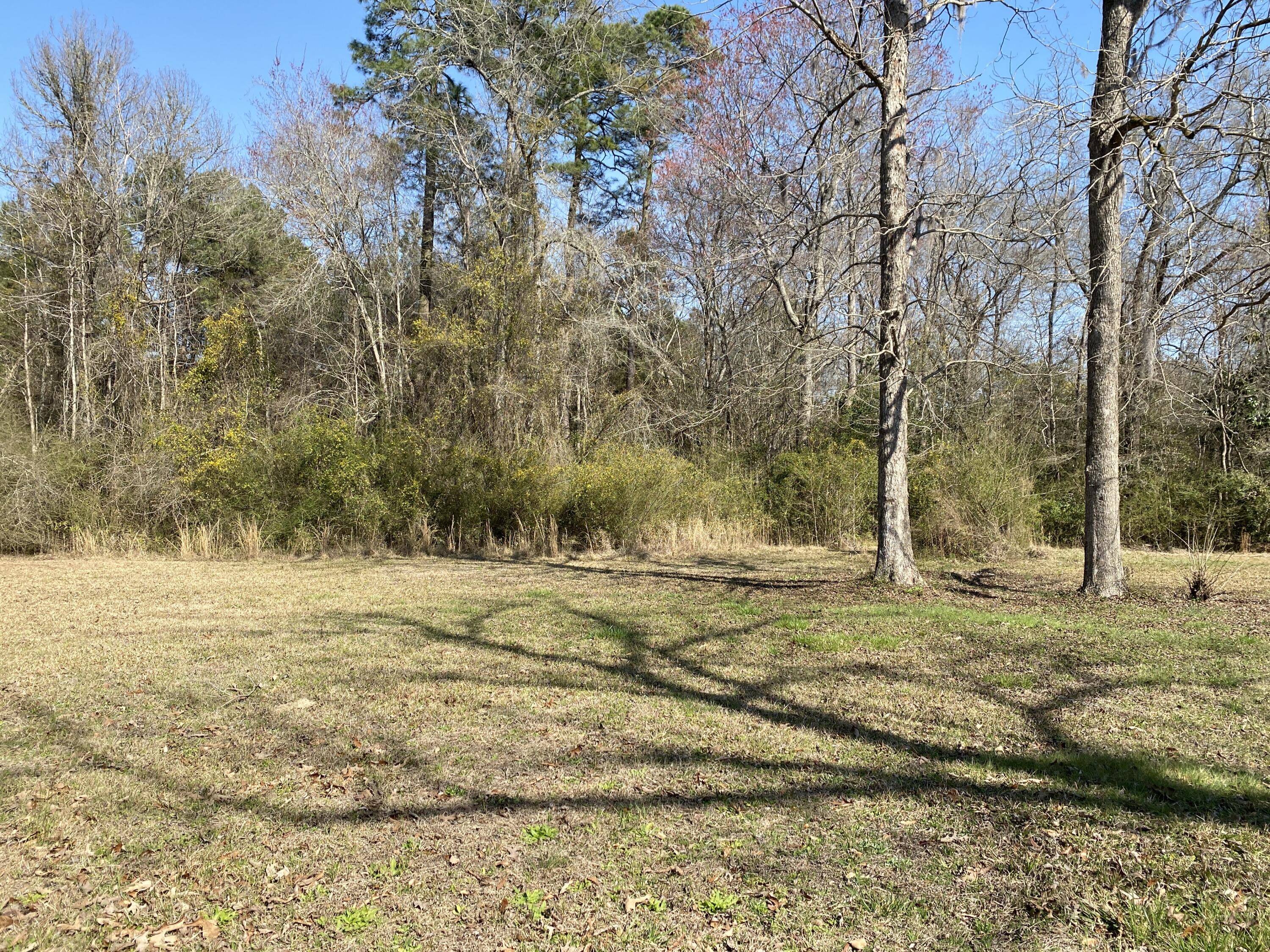 343 Fire Hill Road Walterboro, SC 29488 - Photo 29 of 42 Woods behind house