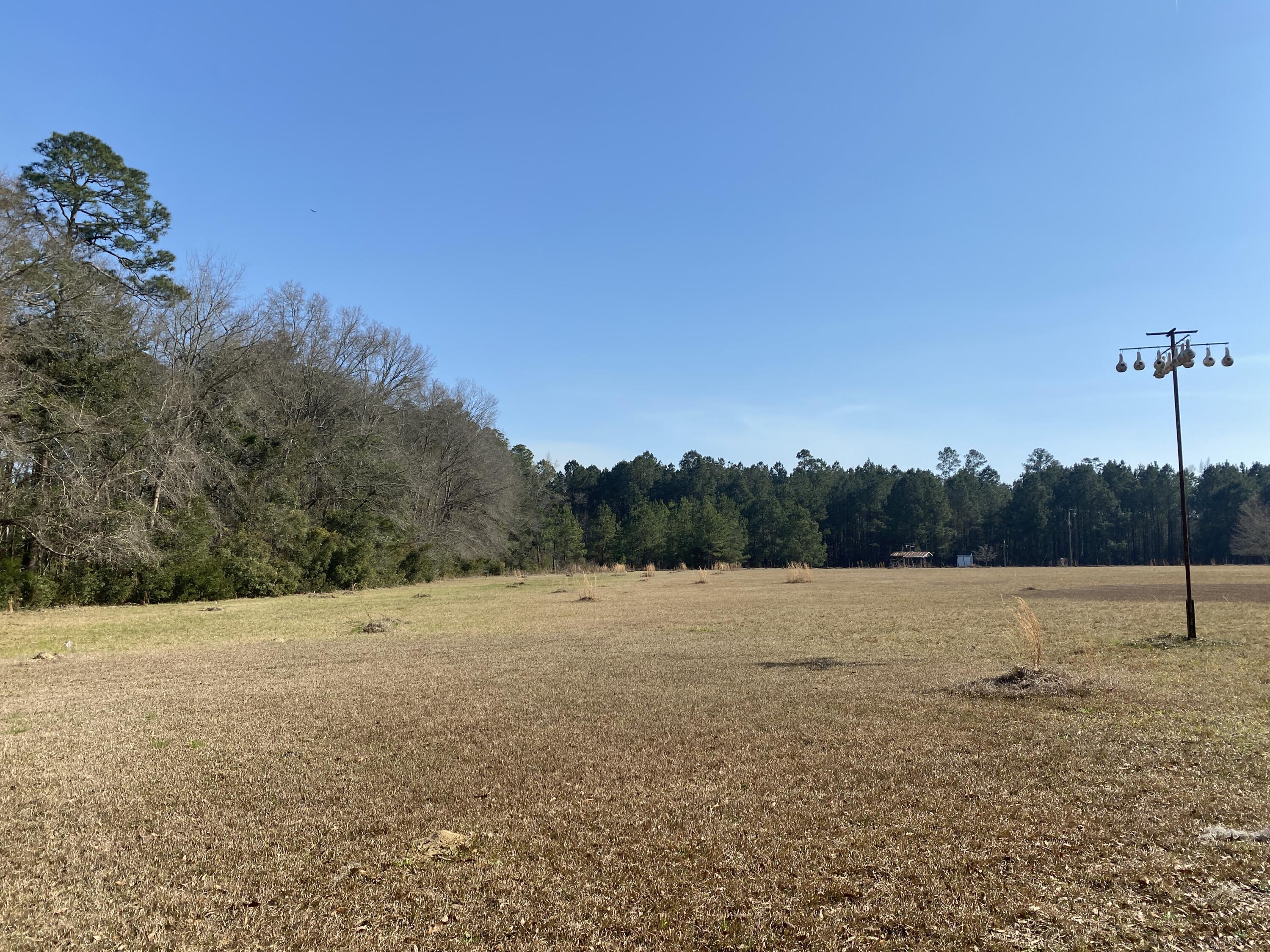 343 Fire Hill Road Walterboro, SC 29488 - Photo 30 of 42 Field 2