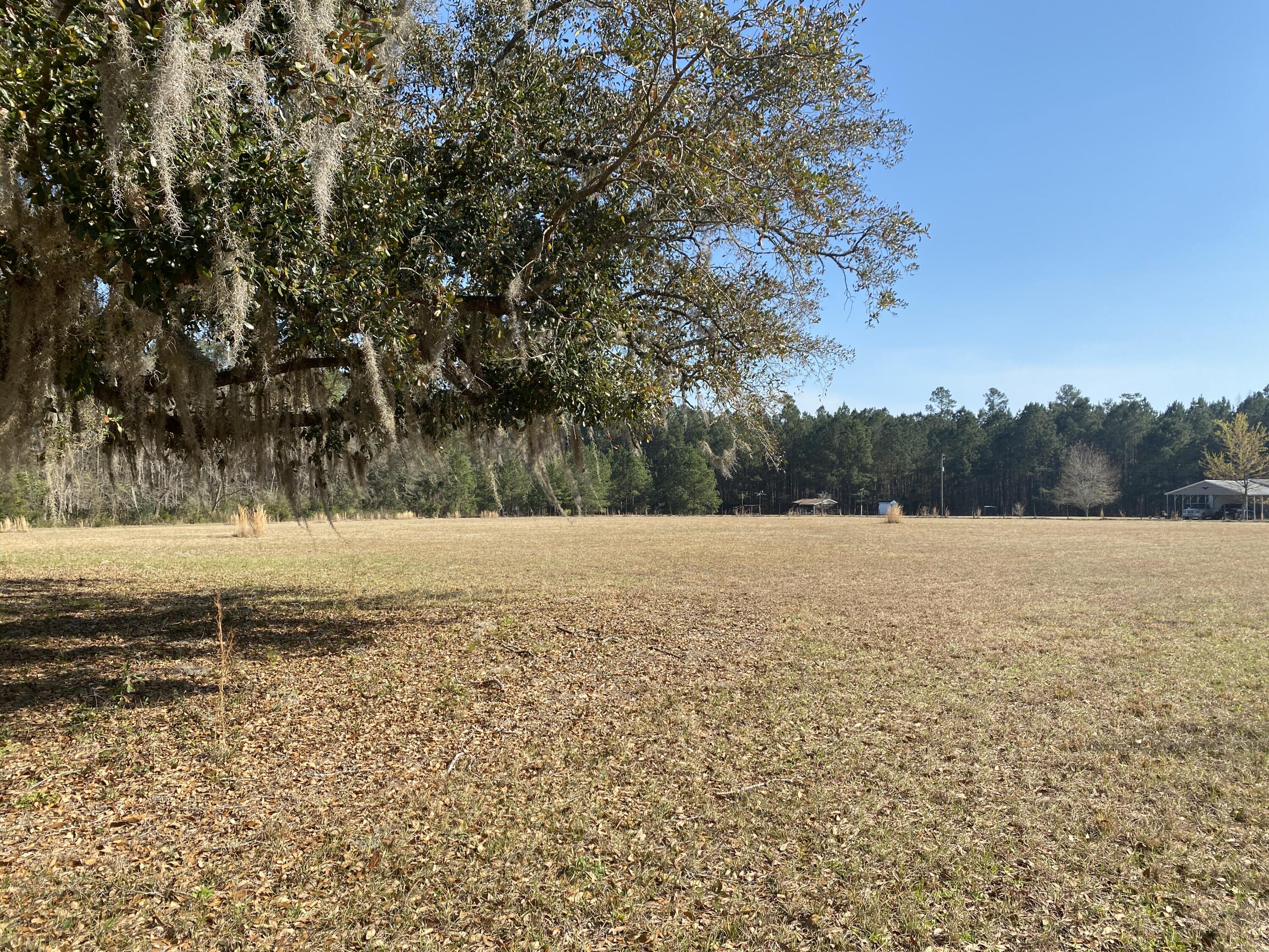 343 Fire Hill Road Walterboro, SC 29488 - Photo 31 of 42 Field