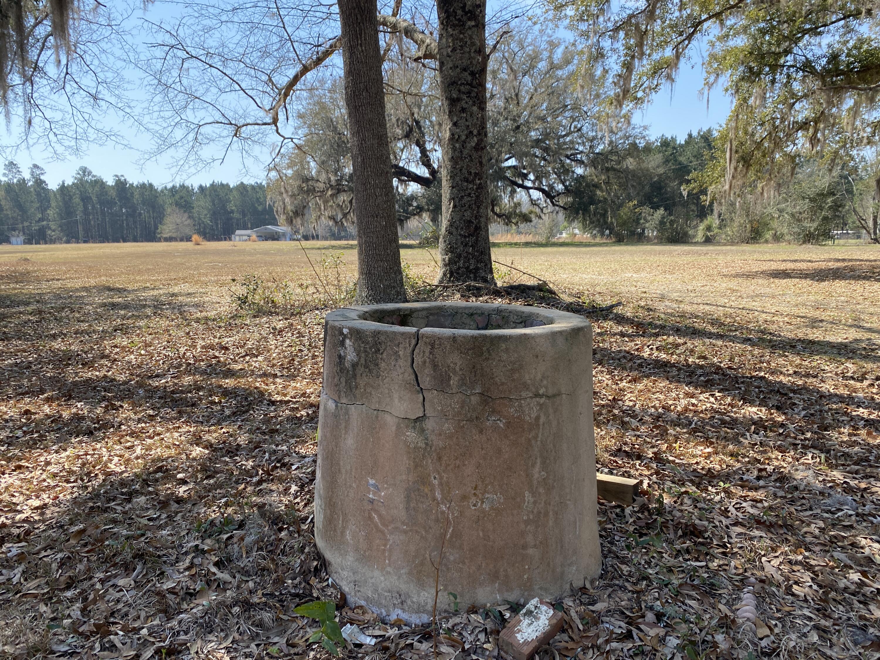 343 Fire Hill Road Walterboro, SC 29488 - Photo 39 of 42 Historic Well, no longer in use