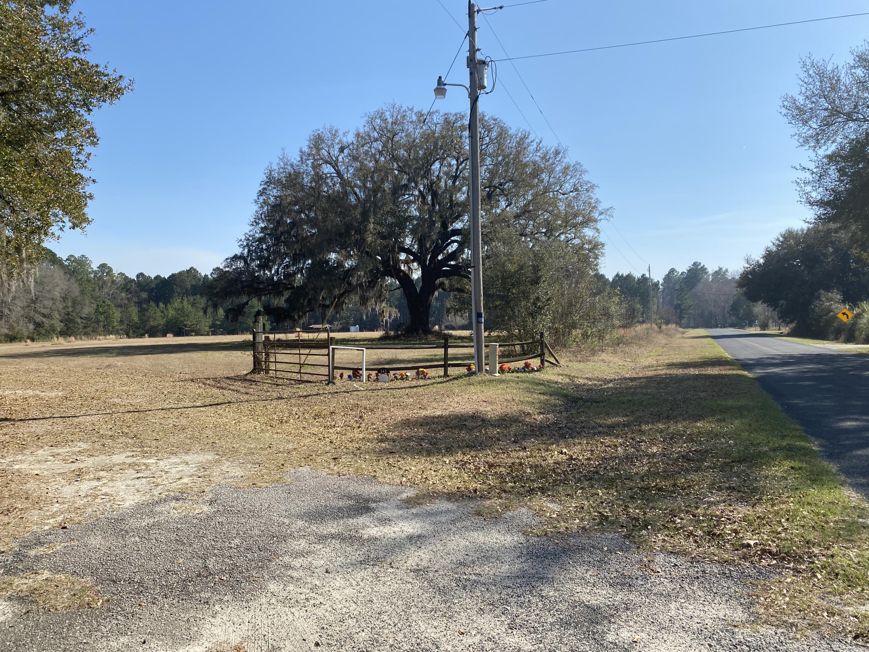 343 Fire Hill Road Walterboro, SC 29488 - Photo 41 of 42 Street view 2