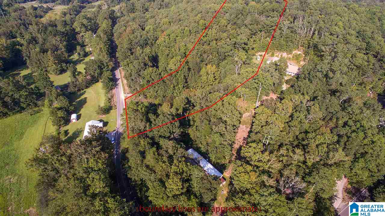 7132 Goodner Mountain Road Pinson, AL 35126 - Photo 13 of 14
