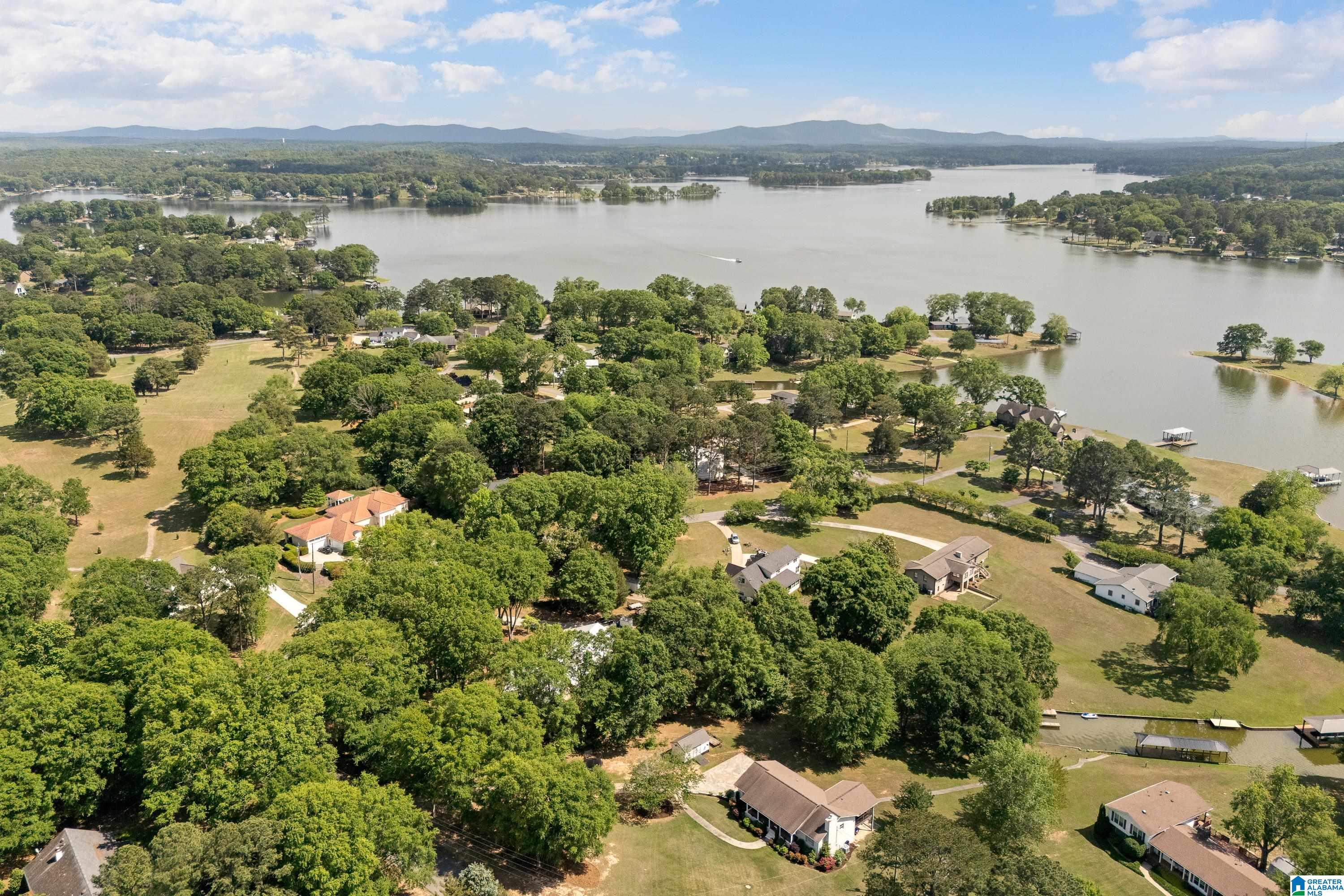 1702 Pine Harbor Road Pell City, AL 35128 - Photo 58 of 71