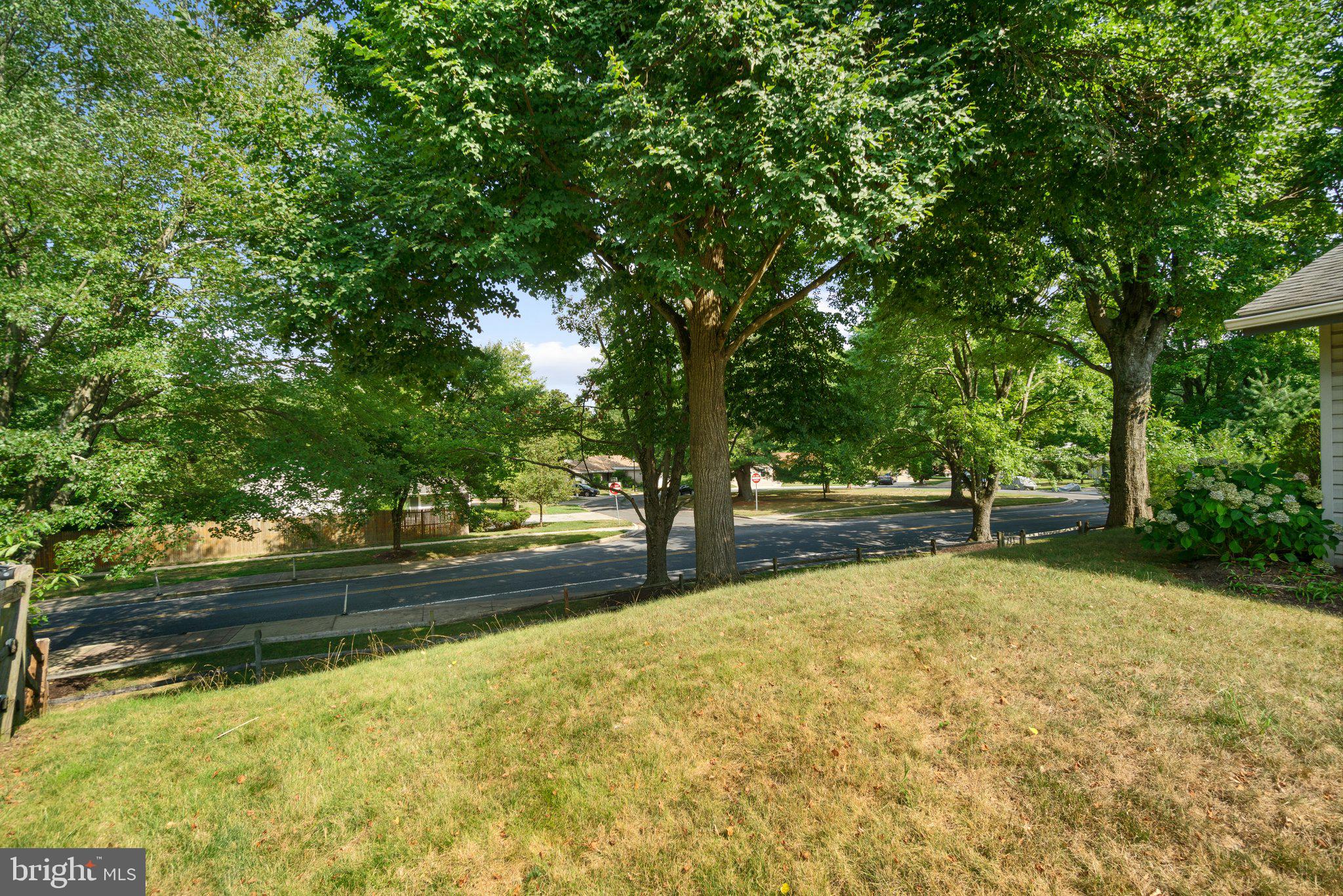 14911 Hydrus Road Silver Spring, MD 20906 - Photo 30 of 31 Yard