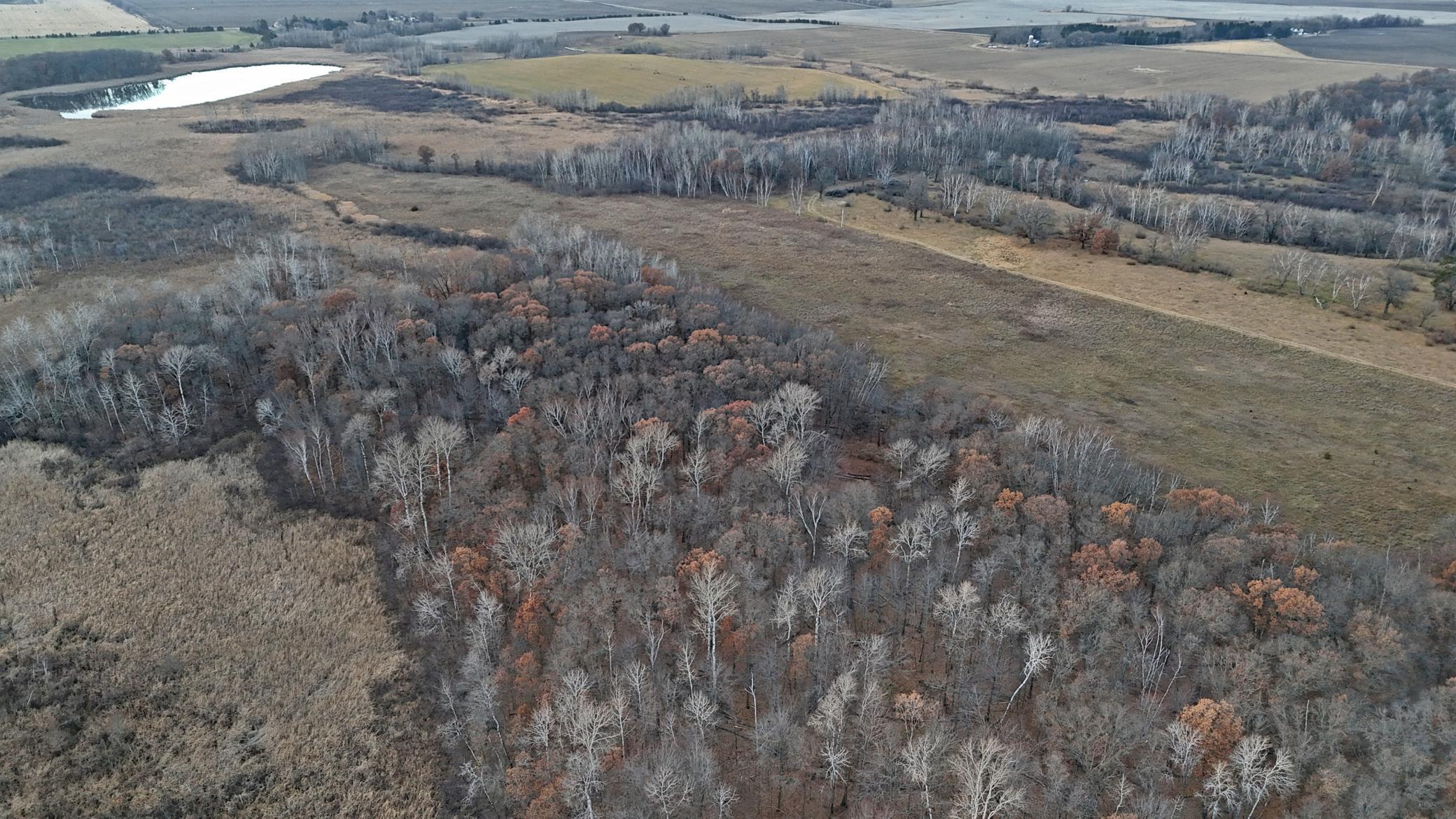 26-xxx 175th Avenue Fort Ripley, MN 56449 - Photo 22 of 46