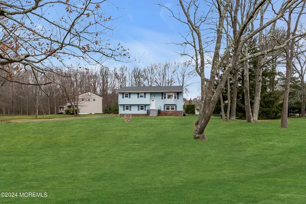 a view of a trees in a park