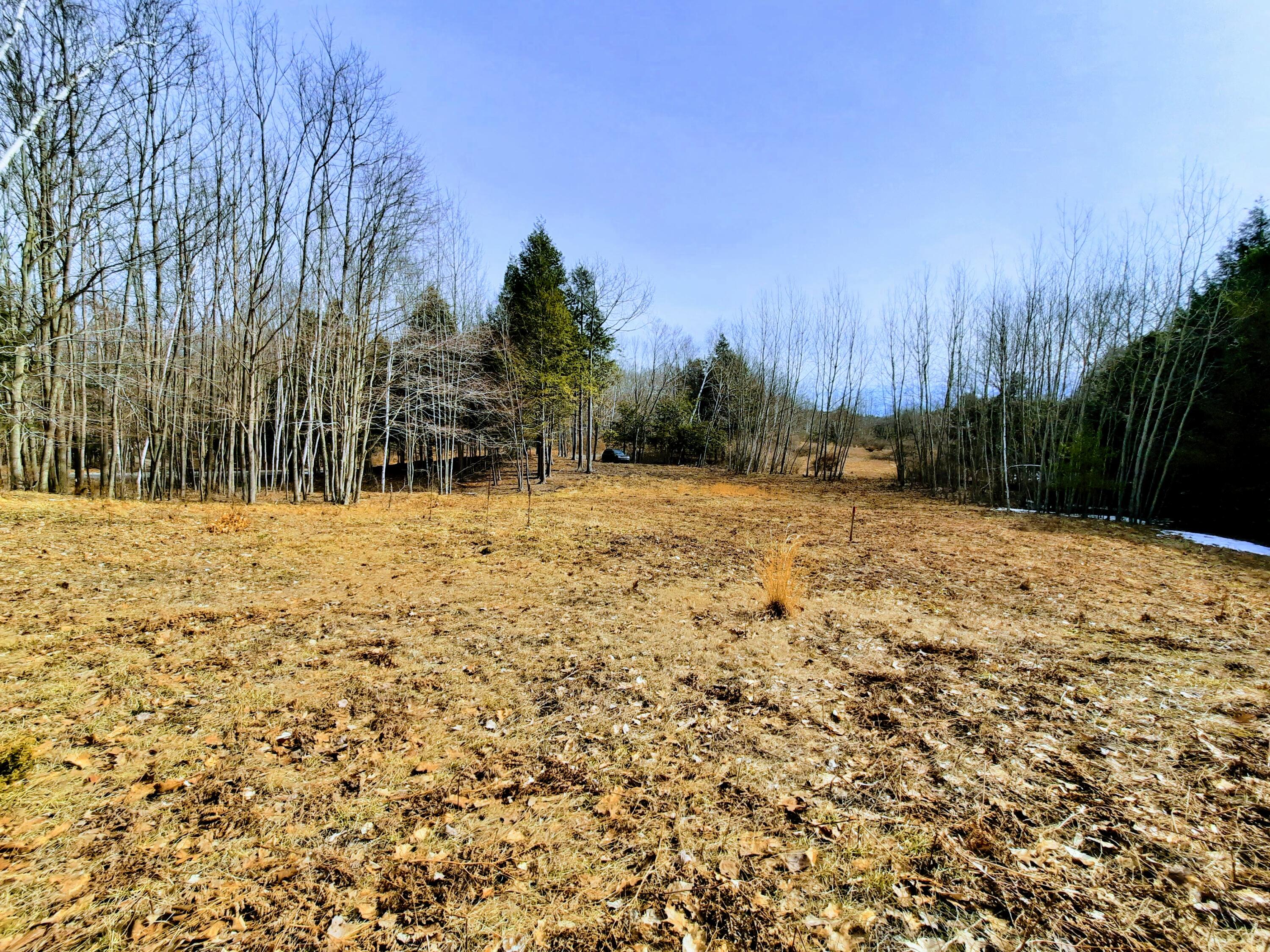 Lot 47 Smith Road Onekama, MI 49675 - Photo 5 of 24 Nice Building Site