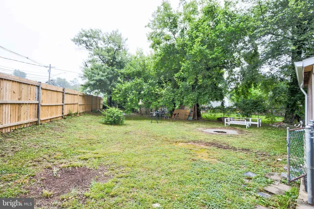 a backyard of a house with plants and large trees