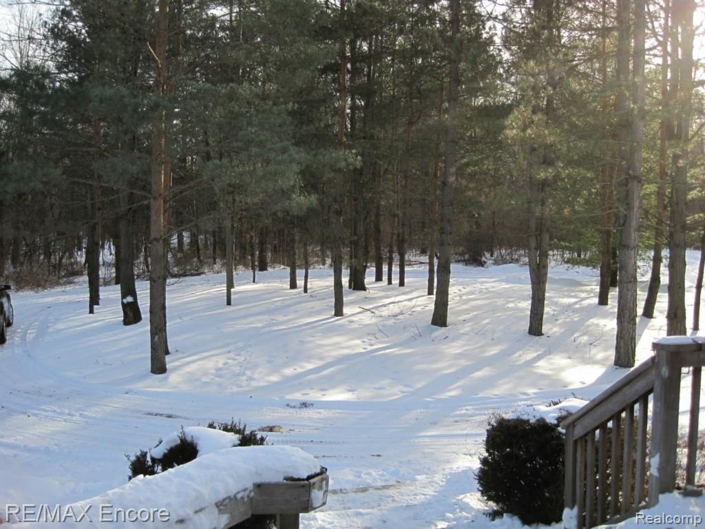 9617 Hadley Road Clarkston, MI 48348 - Photo 33 of 36 Front Yard with Large Circular Drive