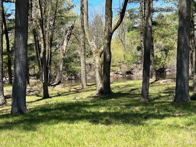 10158 South River Road Evart, MI 49631 - Photo 48 of 50 IMG_4495