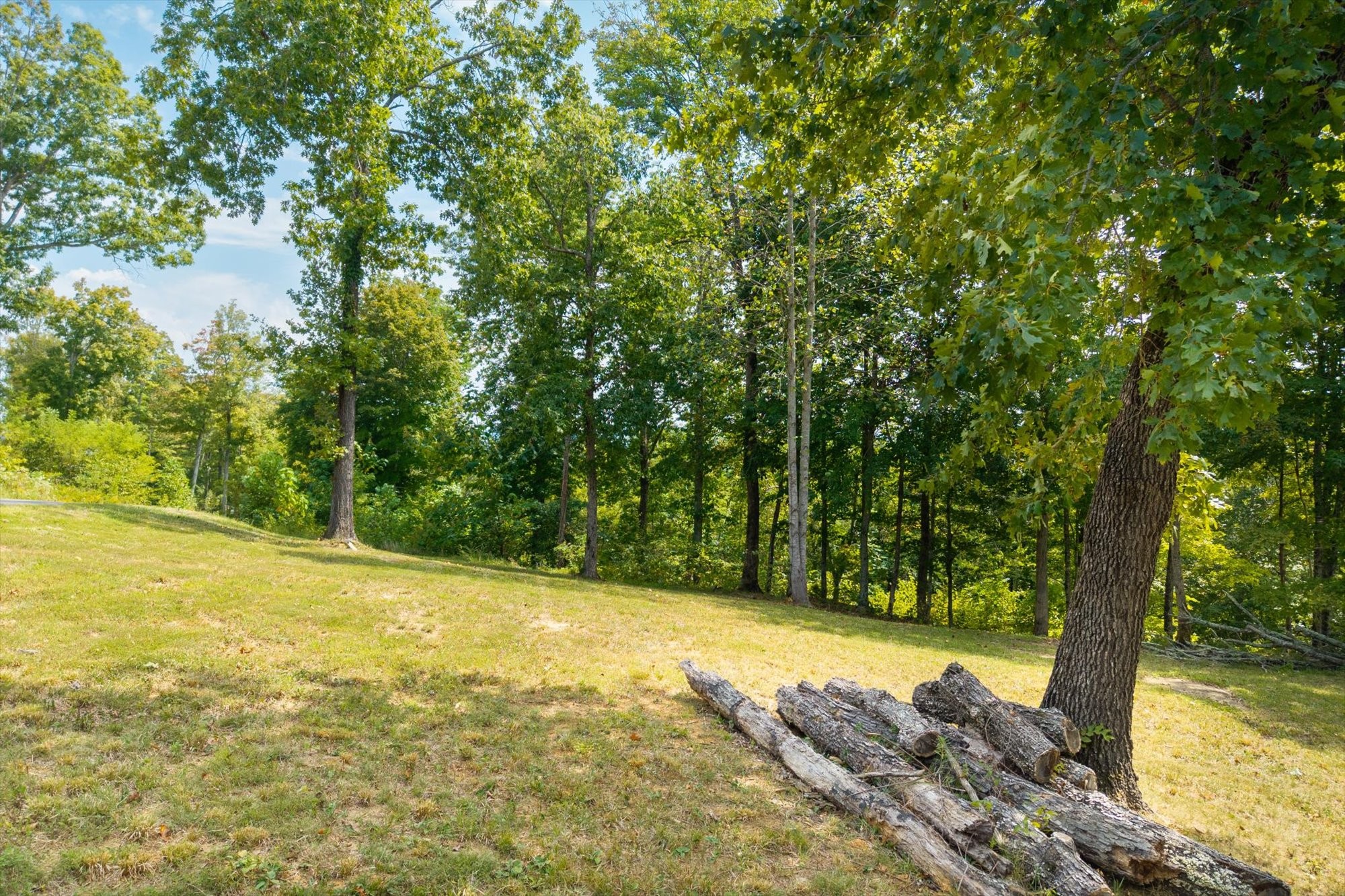 300 East Rockfish Road Celina, TN 38551 - Photo 13 of 31