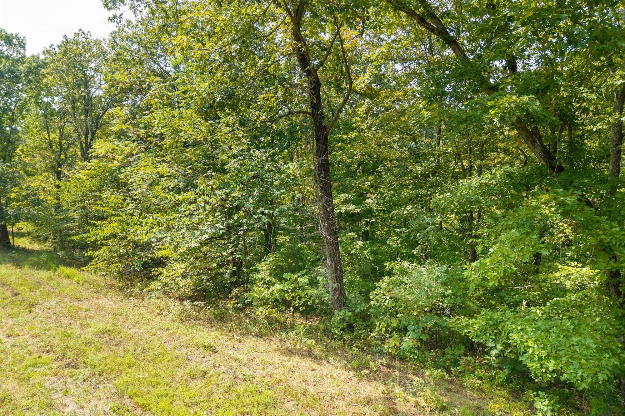 300 East Rockfish Road Celina, TN 38551 - Photo 18 of 31