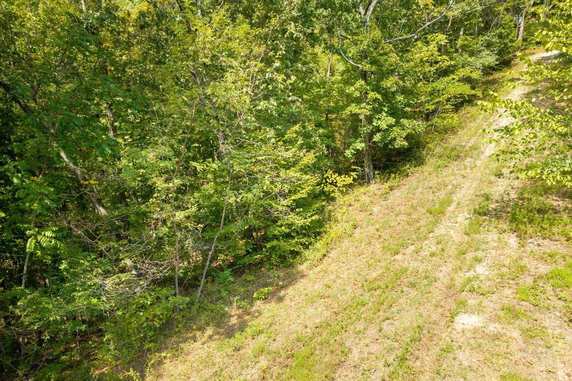 300 East Rockfish Road Celina, TN 38551 - Photo 19 of 31